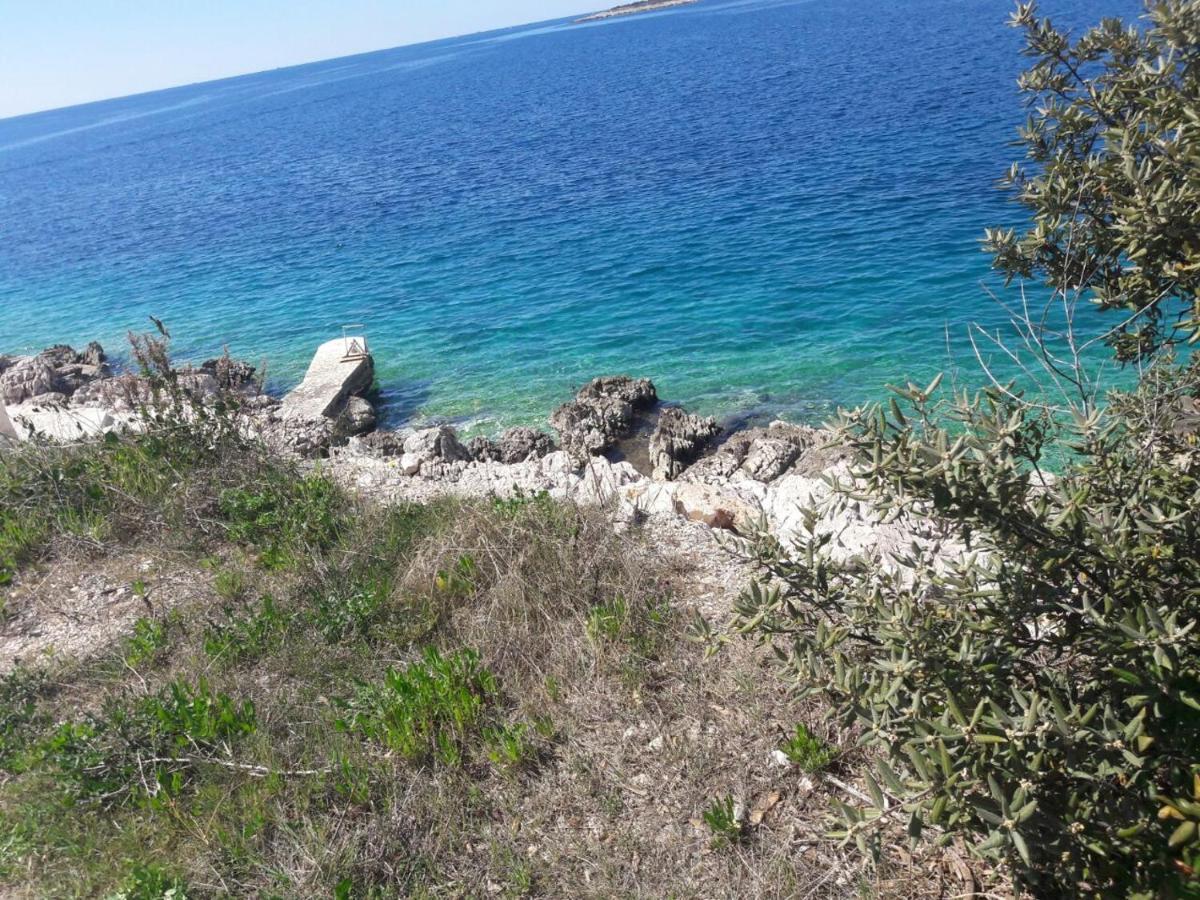 فيلا Domo Oliveto Vinišće المظهر الخارجي الصورة