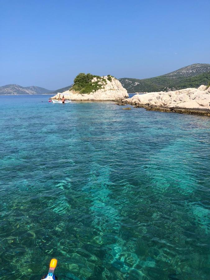 فيلا Domo Oliveto Vinišće المظهر الخارجي الصورة
